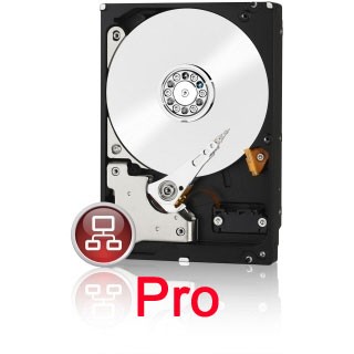 4000GB WD Red Pro, SATA 6Gb/s (WD4003FFBX)